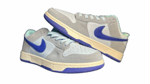 Nike Dunk Low Retro Summit